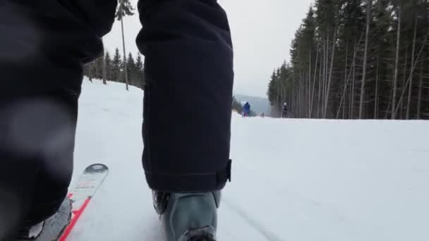 Niş Videosu Kayak Pistinde Arka Manzara Düşük Açı Görünümü — Stok video