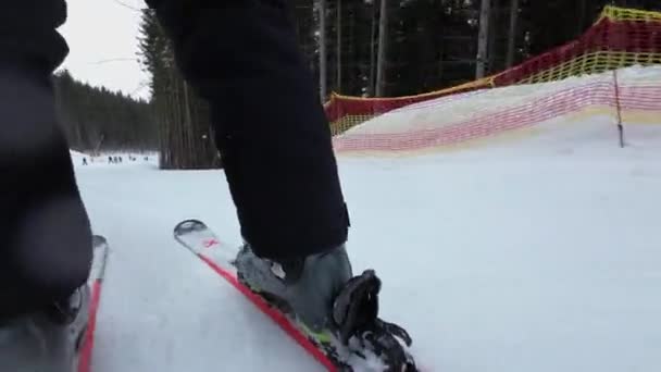 Esquí Alpino Vista Ángulo Bajo Vista Trasera — Vídeos de Stock
