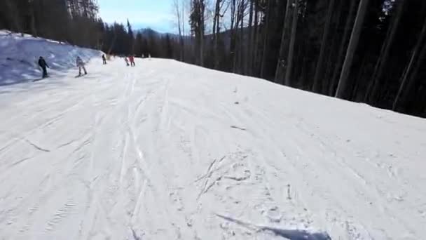 Suave Pista Esquí Primera Persona Día Soleado — Vídeo de stock