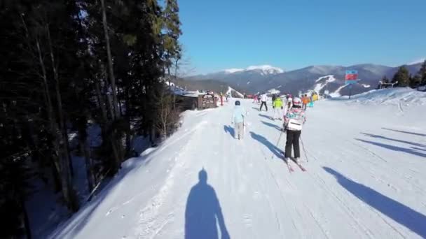 Pov Man Camera His Head Downhill Skiis — Stock Video
