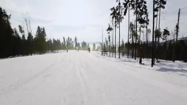 Desierto Cuesta Abajo Pista Esquí Primera Persona Día Soleado — Vídeo de stock