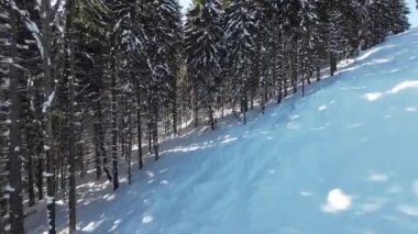 Dağlarda güneşli bir günde kış ormanı. Kayak asansöründen görüntü. 