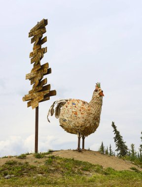 Metal Tavuk Heykeli. Chicken, Amerika Birleşik Devletleri 'nin Alaska şehrinde altın madenciliği üzerine kurulmuş bir topluluktur.