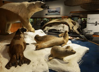Alaska Üniversitesi, Kuzey Müzesi Fairbanks, Alaska, ABD 'deki UAF kampüsünde yer alıyor.
