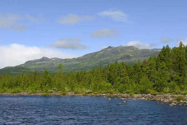 Parque Nacional Stora Sjfallet Stuor Muorkke Laponian Area Região Círculo — Fotografia de Stock