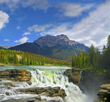 Güçlü resimli şelale Athabasca. Kanada, Jasper Ulusal Parkı, Unesco Dünya Mirası Alanı