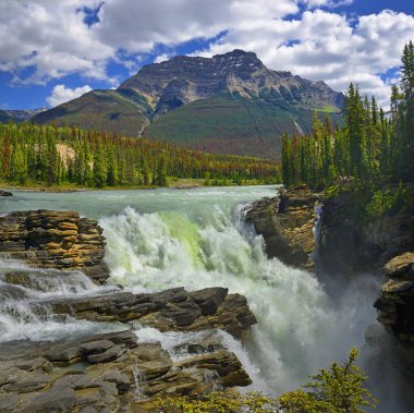 Güçlü resimli şelale Athabasca. Kanada, Jasper Ulusal Parkı, Unesco Dünya Mirası Alanı