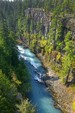 Cheakamus Nehri, Whistler, British Columbia, Kanada yakınlarındaki bungee köprüsünün altındaki akıntı.
