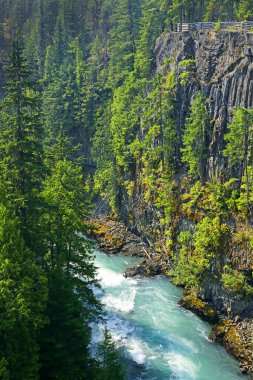 Cheakamus Nehri, Whistler, British Columbia, Kanada yakınlarındaki bungee köprüsünün altındaki akıntı.