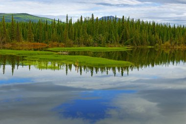 Kanada 'nın Yukon bölgesindeki Mayo Nehri.