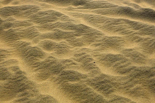 Ondas Infladas Areia Carcross Desert Localizado Perto Carcross Yukon Canadá — Fotografia de Stock