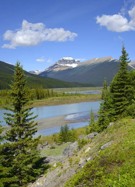 North Saskatchewan River Mount Saskatchewan Banff National Park Lista Światowego — Zdjęcie stockowe