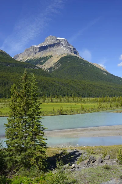 North Saskatchewan River Mount Amery Banff National Park Lista Światowego — Zdjęcie stockowe