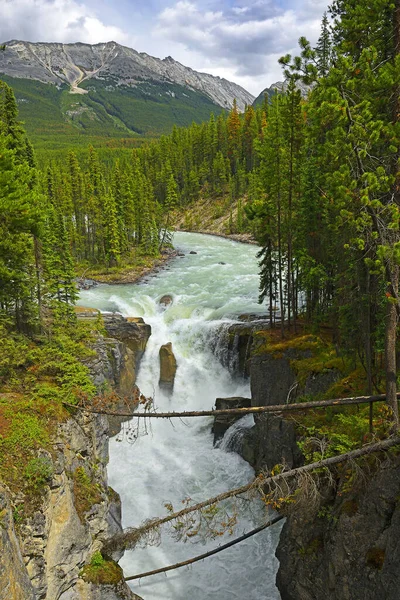 Wodospad Sunwapta Parku Narodowym Jasper Kanada Woda Pochodzi Lodowca Athabasca — Zdjęcie stockowe