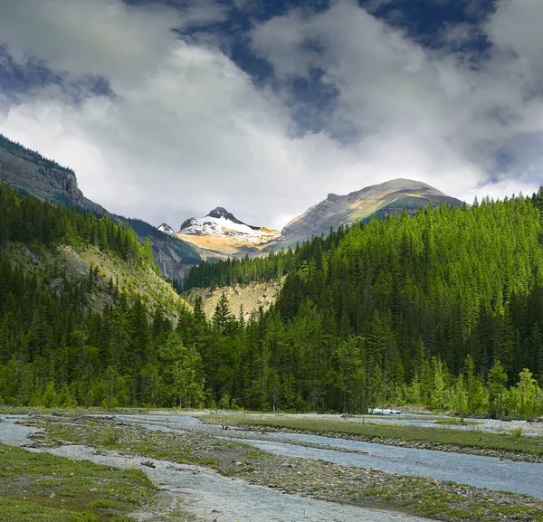 Robson River Valley Mount Robson Tartományi Park Kanadai Rocky Mountain — Stock Fotó