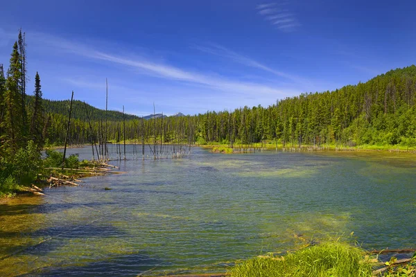 Den Gröna Skålen Sjön Monkman Provincial Park Northern Rockies British — Stockfoto