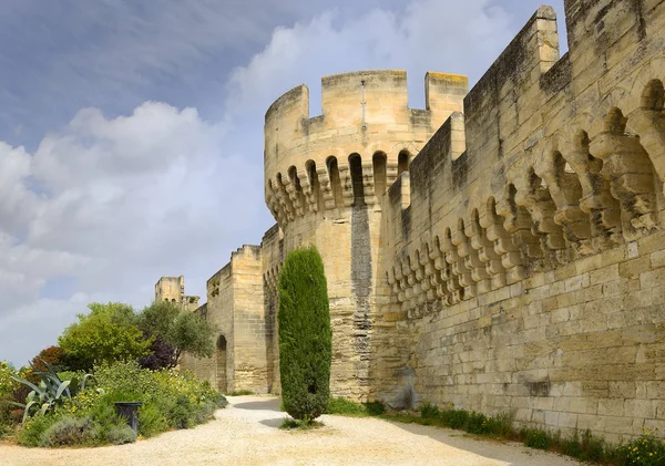 Mura Della Città Bastioni Della Città Avignone Provenza Francia Patrimonio — Foto Stock