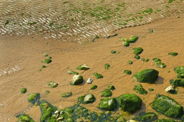 Kumlara saçılmış yeşil yosun taşları, şimdi Omaha Sahili 'ni detaylandır - arka plan, Normandiya, Fransa