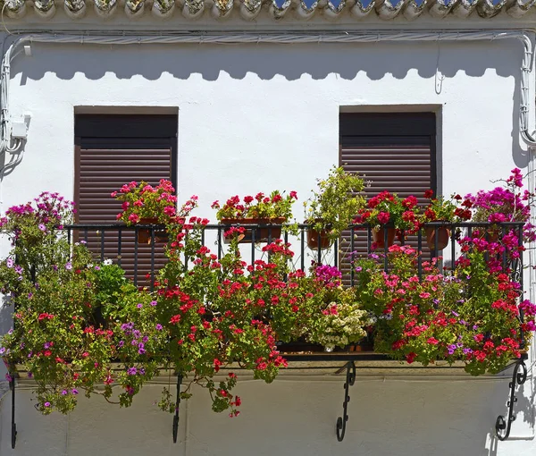 Balcon Avec Des Fleurs Comme Fond — Photo