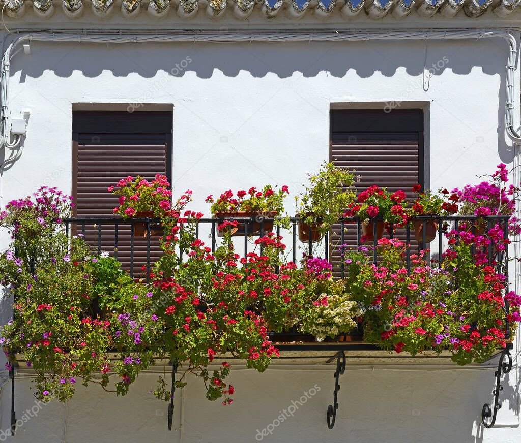Balcony with flowers as background