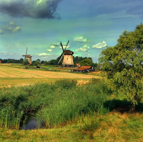 Мюмер Польдер Типичные Голландские Ветряные Мельницы Нидерланды — стоковое фото