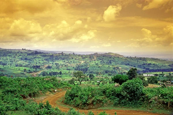 Paisaje Típico Africano Camino Parque Nacional Monte Elgon Cerca Frontera — Foto de Stock