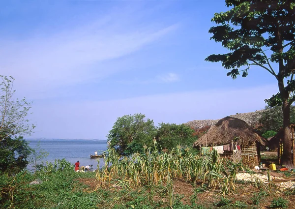Lago Victoria Uganda África Oriental — Foto de Stock