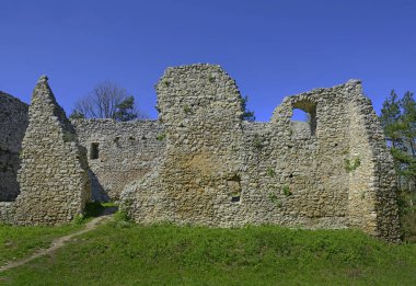 IV 'ten Knight' s Castle Bydlin 'e. Yüz yıl. Kale, Krakow-Czestochowa Jura 'da yatıyor. Polonya 'nın Krakow yakınlarındaki Kartal Yuvaları Patikası kalelere aittir.
