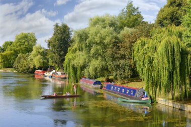 CAMBRIDGE, BİRLİK KINGDOM Cambridge 'deki River Cam üzerinde resim gibi bir manzara. Cambridge, İngiltere 'nin Cambridgeshire kentinde bulunan bir üniversite kentidir..