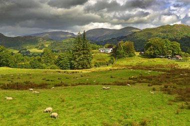 İngiltere 'nin kuzeybatısında yer alan İngiliz Gölü Bölgesi' nin dağlık bir bölgesi olan Coniston yakınlarındaki Cumbrian Dağları UNESCO Dünya Mirası Bölgesi