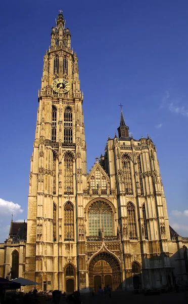 Antwerp Belgio Facciata Della Cattedrale Tramonto Cattedrale Gioiello Gotico Della — Foto Stock