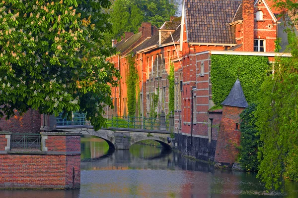 Старый Город Lier Бельгия — стоковое фото