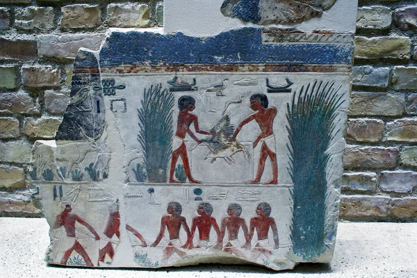 德国柏林 展览新博物馆 埃及藏品 浮雕碎片 雪人冰箱 带着纸莎草 女神穆特 世界上最重要的博物馆之一 — 图库照片