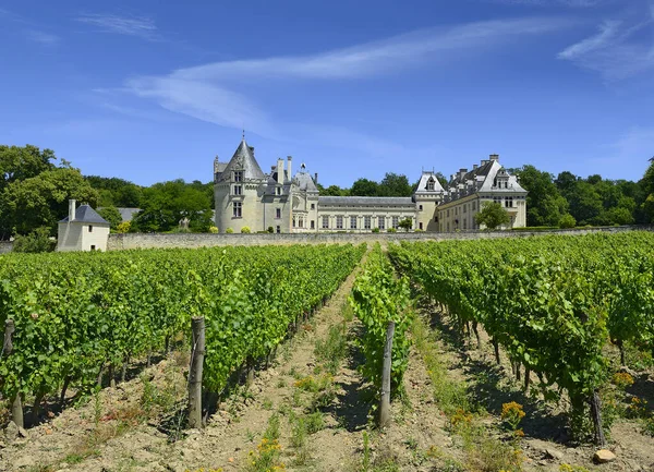 Loire Valley Breze Kastély Franciaország Xix Század Között Épült Hatalmas — Stock Fotó