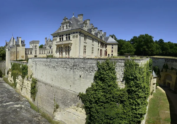 フランス ロワール渓谷の城風 11世紀から19世紀の間に建てられ 巨大な地下複合施設があり 2000年以来一般公開されています ロワール渓谷はユネスコ世界遺産 — ストック写真