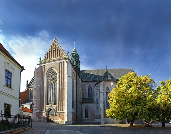Brünn Mendelplatz Und Basilica Minor Kirche Mariä Himmelfahrt Die Kirche — Stockfoto