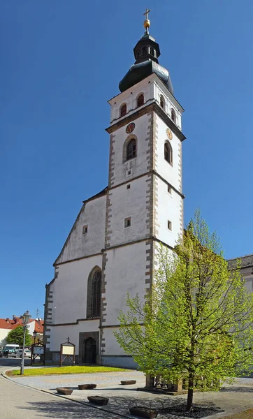 Monastery Divine Mercy Nov Hrady Church Peter Paul Nove Hrady — Foto de Stock