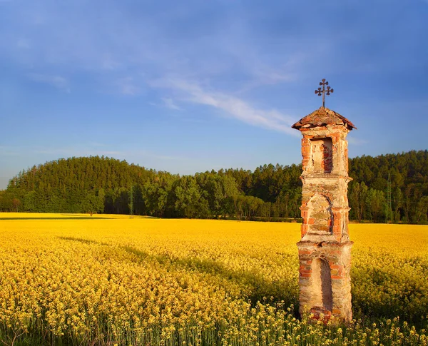 Chapelle Village Dans Champ Colza Près Usov République Tchèque — Photo