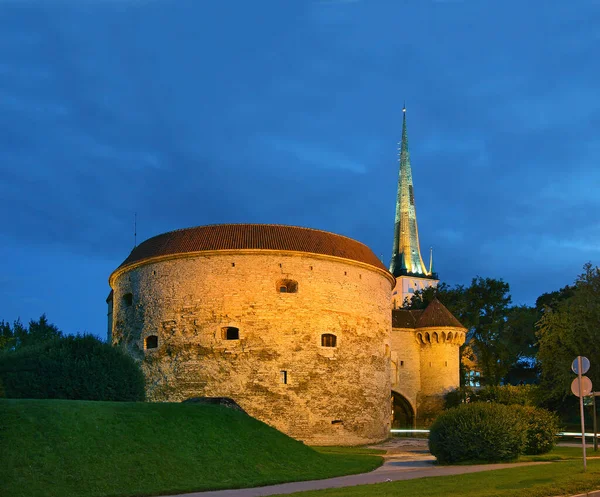 タリン旧市街 エストニア 脂肪のマーガレット タワーと Olav の教会のビュー ユネスコ世界遺産 — ストック写真