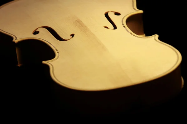 stock image violin body