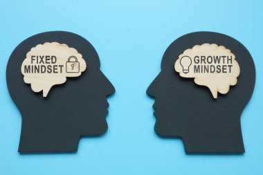 Sabit zihniyeti ve gelişim zihniyeti olan beyinler.