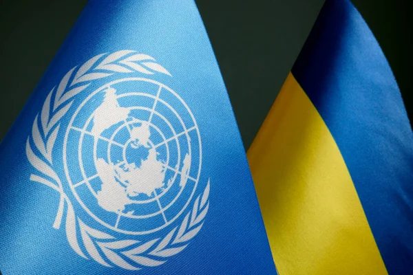 KYIV, UKRAINE - 10 december 2021. Vlaggen van Oekraïne en de Verenigde Naties. — Stockfoto