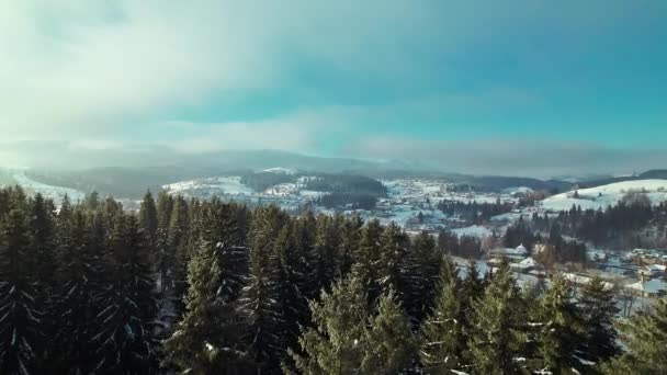 Voo sobre abetos altos com vista para a cidade em um vale de montanha no inverno. — Vídeo de Stock