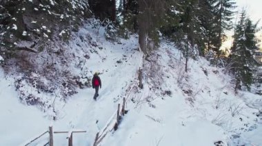 Bir turist kışın bir orman yoluna tırmanır. Seyahat et ve yürü.