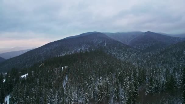 Pasmo górskie z ciemnym lasem i mrocznymi zimowymi chmurami. — Wideo stockowe