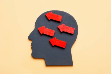 A Head with arrows as symbol of thoughtful leadership.