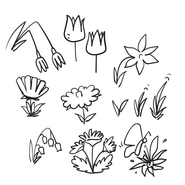 Dessin Main Doodle Printemps Saison Plante Fleur Illustration Vecteur Isolé — Image vectorielle