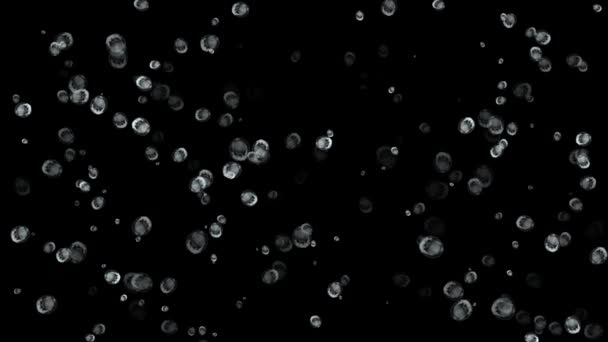 Regen Druppels Venster Glas Beweging Graphics Met Nacht Achtergrond — Stockvideo