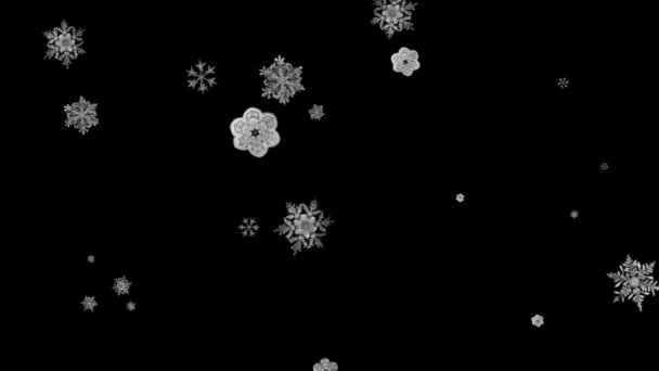 Vallende Sneeuwvlokken Bewegende Graphics Met Nacht Achtergrond — Stockvideo
