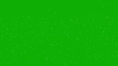 Uçan ateş böcekleri yeşil ekran arkaplanlı hareket grafikleri